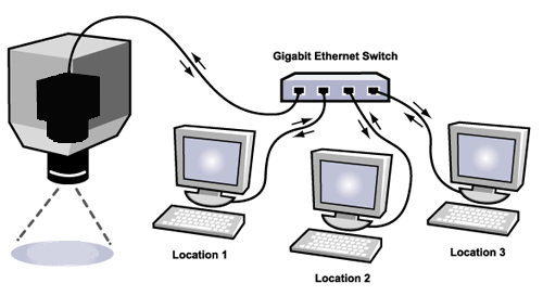 Connections from one camera to multiple PCs